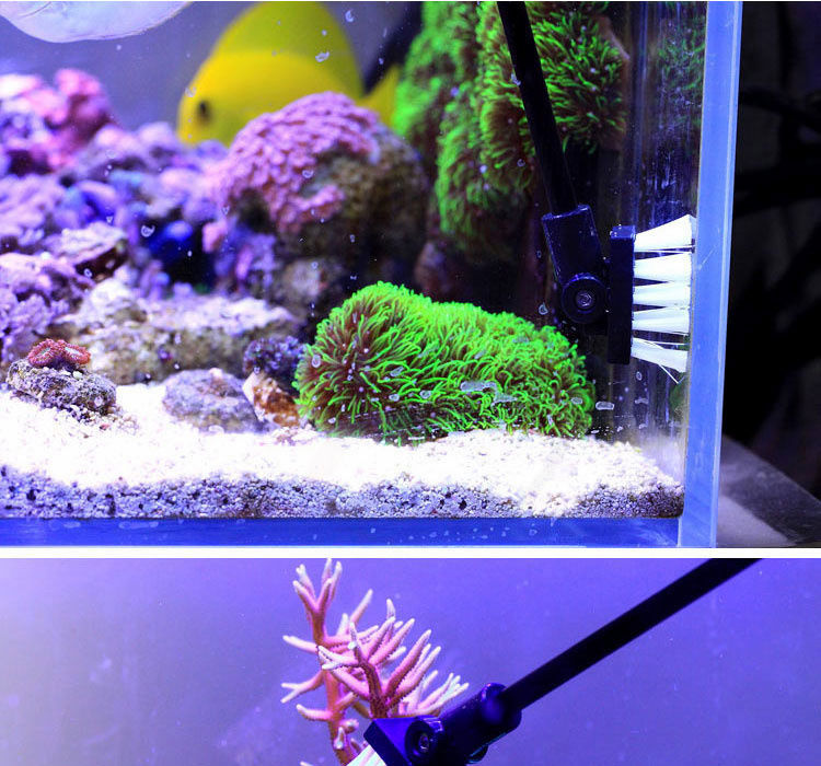 Thumbnail: Fishing Cleaning Brush Plant Tank Fresh Sea Water Cleaning Tools Shrimp Saltwate