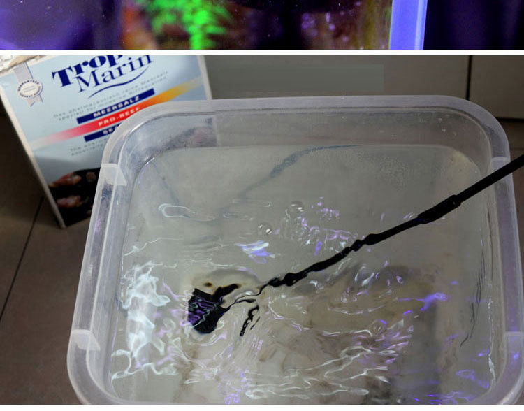 Thumbnail: Fishing Cleaning Brush Plant Tank Fresh Sea Water Cleaning Tools Shrimp Saltwate