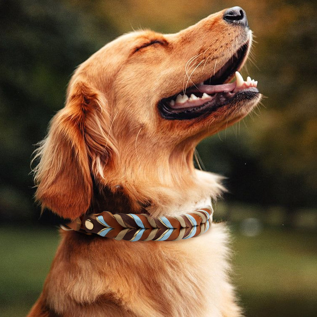 Genuine Leather Collar For Strong And Durable Puppy Medium Large Dogs Fashion Br