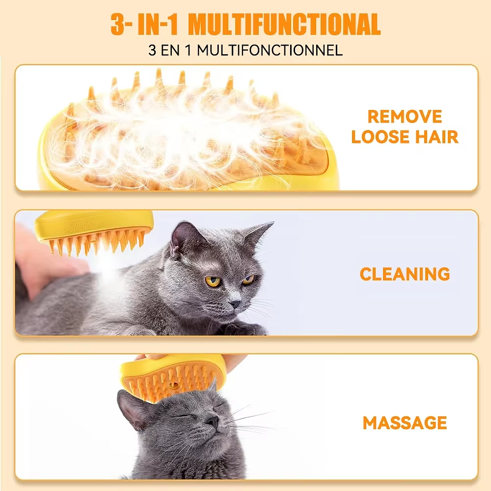 Thumbnail: 3in1 Electric Sprays Massage Combs Cat Dog Steamy Brush Steam Brush Electric Spr