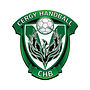 cergyhandball.jpeg