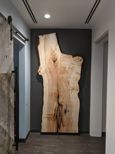 Wood Slab Wall Art | Where Wood Meets Steel | Denver, CO
