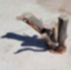 large aquarium or terrarium decor manzanita root base