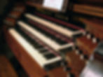 Organ