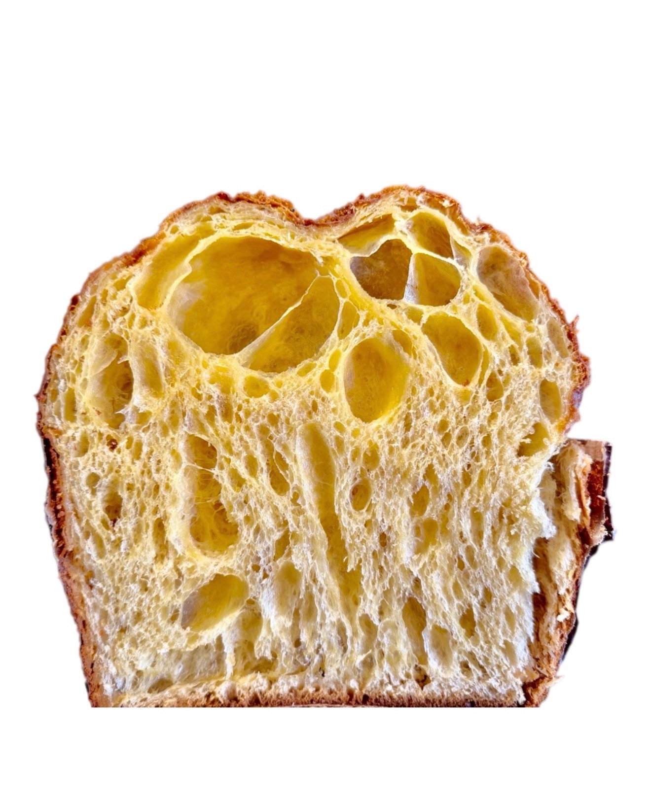 PANETTONE PANDORATO
