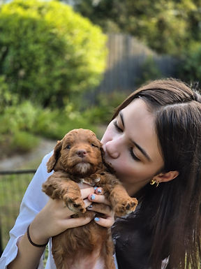 WhatsApp Image 2026-02-18 at 6.09.42 PM.jpeg