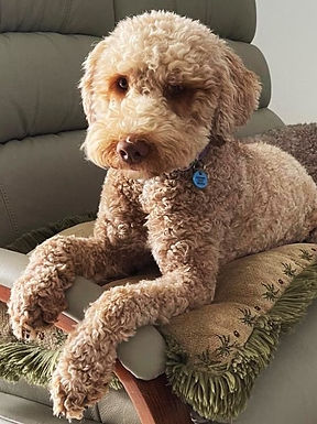 WhatsApp Image 2024-10-28 at 16.04.42_e2d849b4.jpg