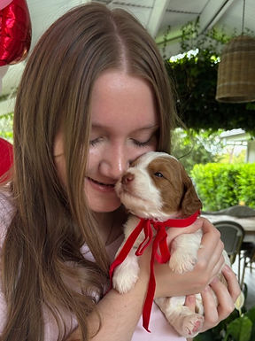 WhatsApp Image 2026-02-11 at 7.47.16 PM WEBSITE.jpeg