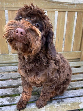 WhatsApp Image 2024-10-28 at 16.04.34_f3e25813.jpg