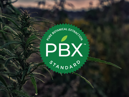 Water Soluble Cannabinoids