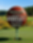 Boys Basketball Golf Tournament