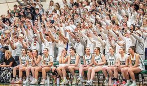 whiteout.png