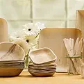 Eco-friendly Areca Tableware