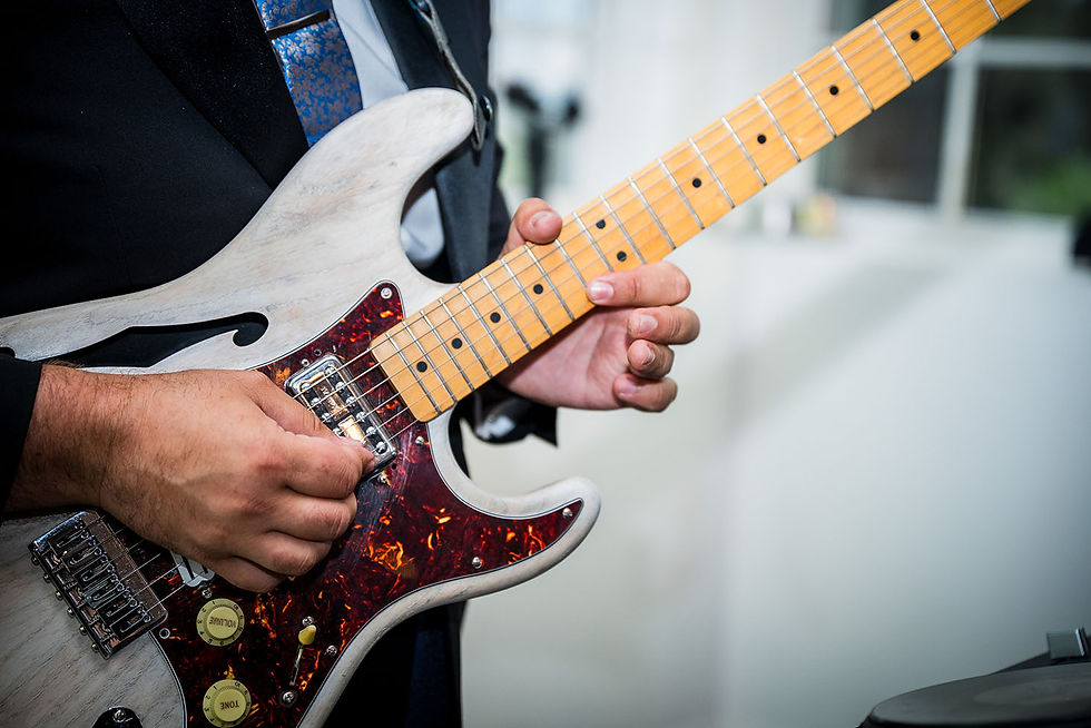 GioElecGuitar.jpg