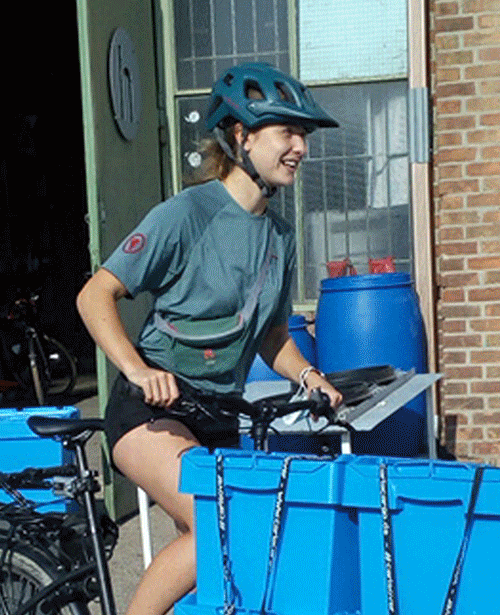 benevosl-sikle_01.gif
