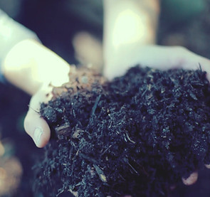 Compost 100% Strasbourg