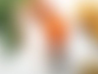 Immunity Boosting Drinks You Can Make at Home