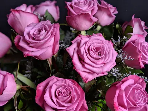 Thumbnail: Premium Roses