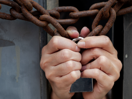 New Report Reveals Scale Of Risk To Food Safety Through Clandestine Infiltration