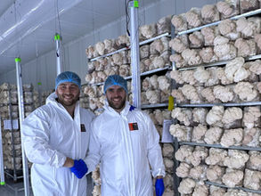 Oakland International and Urban Farm-It Develop New Retail Offer
