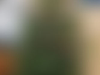 Weihnachten an der Theodor-Fliedner-Schule