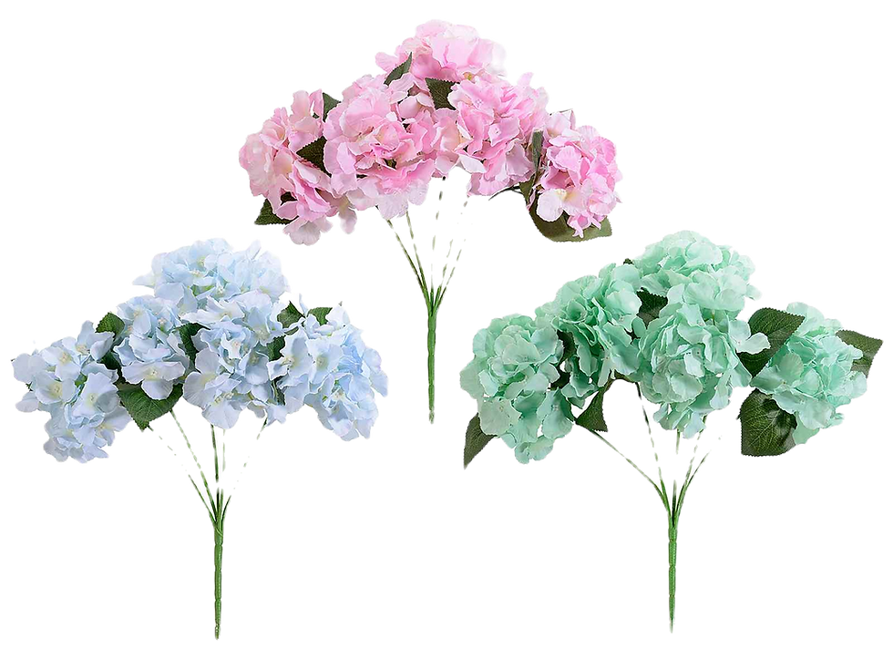 Hortensias Mega Depot