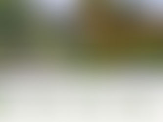 Nous donnons une seconde vie à votre jardin 🌿
