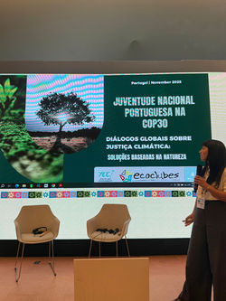 Imagem WhatsApp 2025-12-02 às 13.16.23_6586bd79