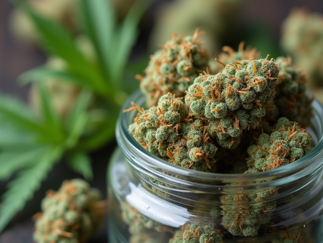 Discover A1 Buds: Premium Cannabis Services Delivered