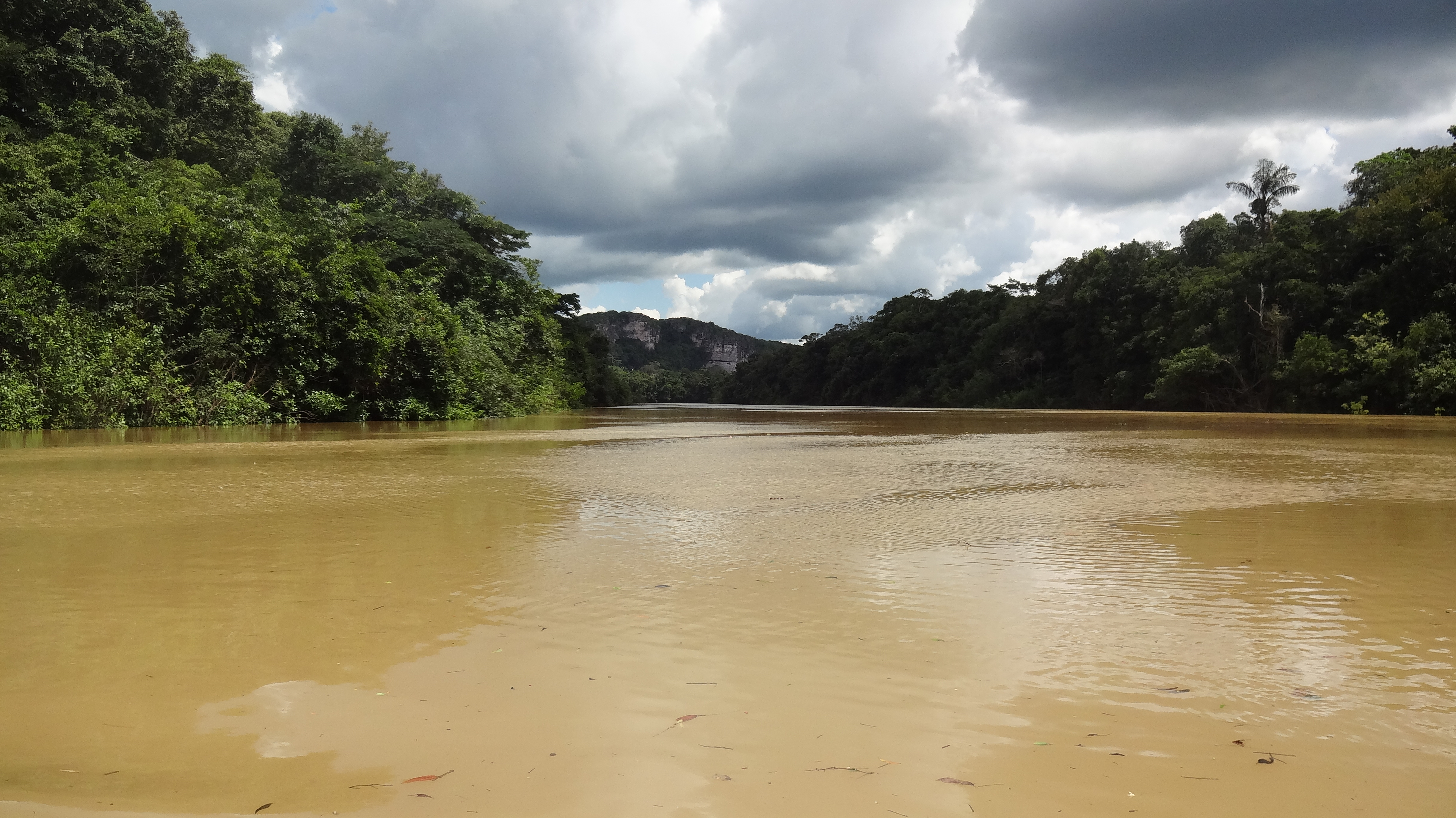 Conservación Ambiental