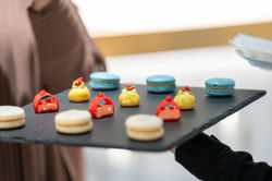 Marli_AUH (123 of 182)