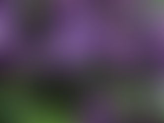 5 things to try before IVF