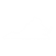 VIRGINIA state icon