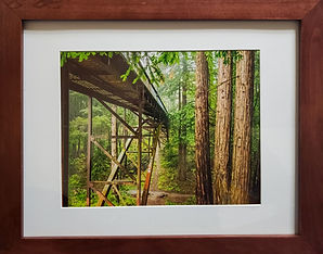 NorthridgeBLM_BR_June2020-2.JPG