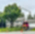 Tree service pruning a tree next to a residence