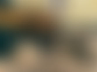 Maintaining Safety: Stump Grinding in Winchester, VA