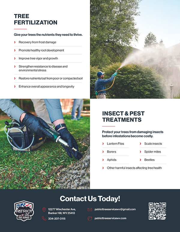 Fertilization - Patriot Tree Service