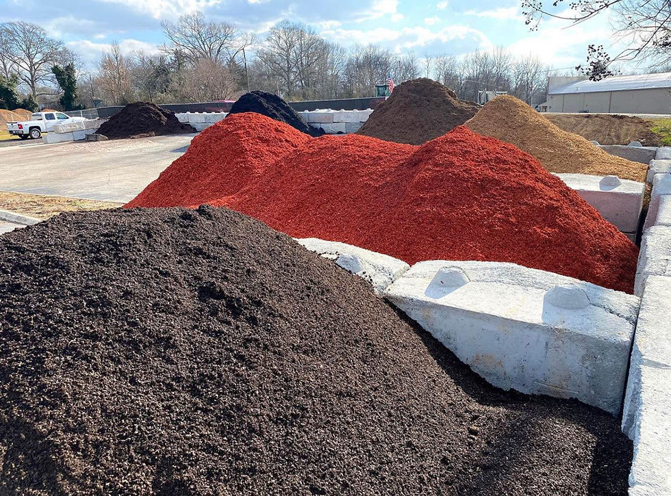 From Tree Debris to Premium Mulch: Bulk Mulch, Direct from the Source