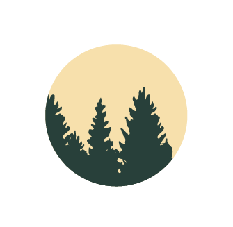 Writer: Evergreen Therapy