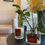 Thumbnail: Scents of Istanbul- Old Bazaar Candle and Diffuser Set