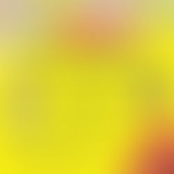 寄付金|応援いただける方