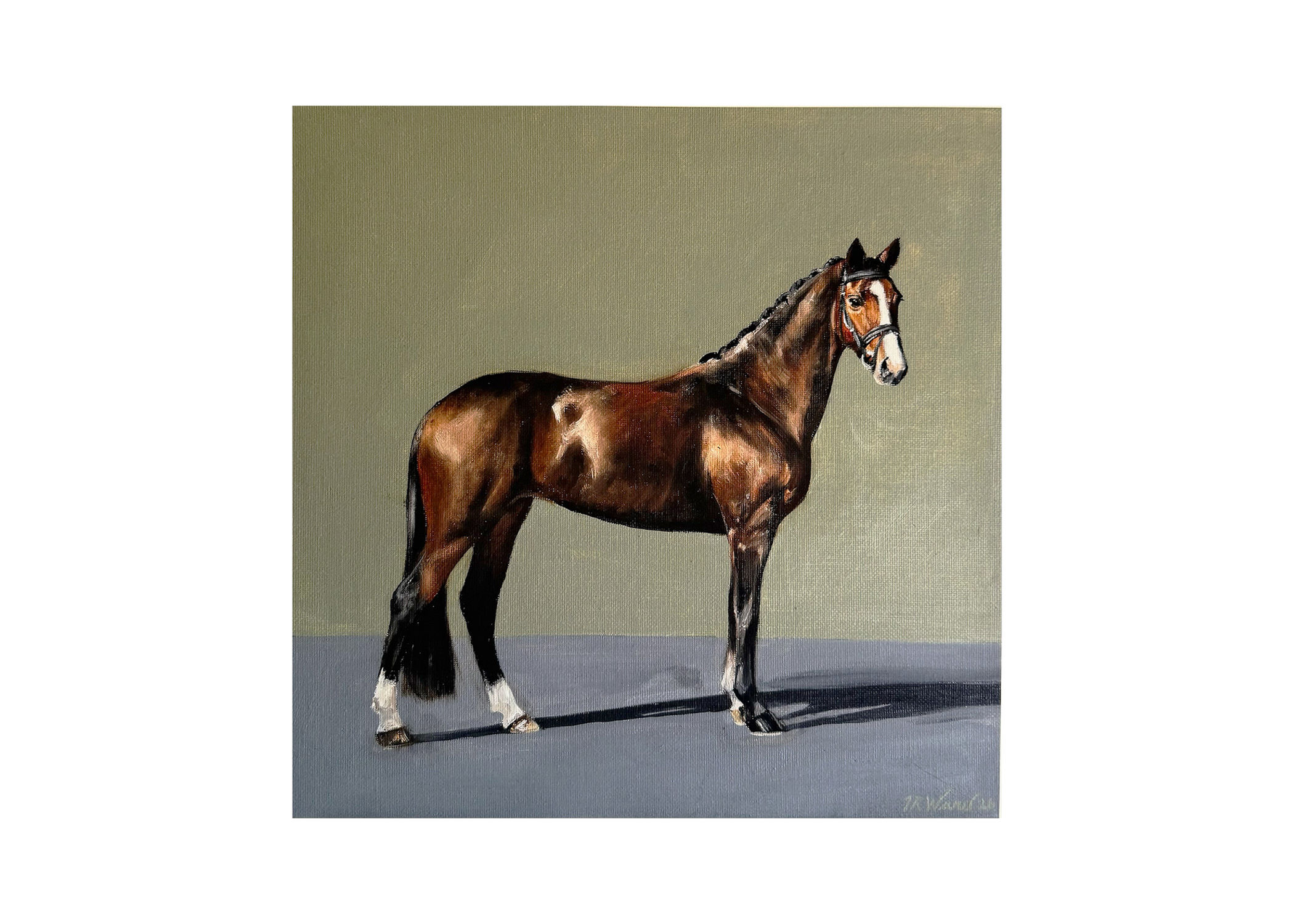 'Bay on Sage' Limited Edition Print