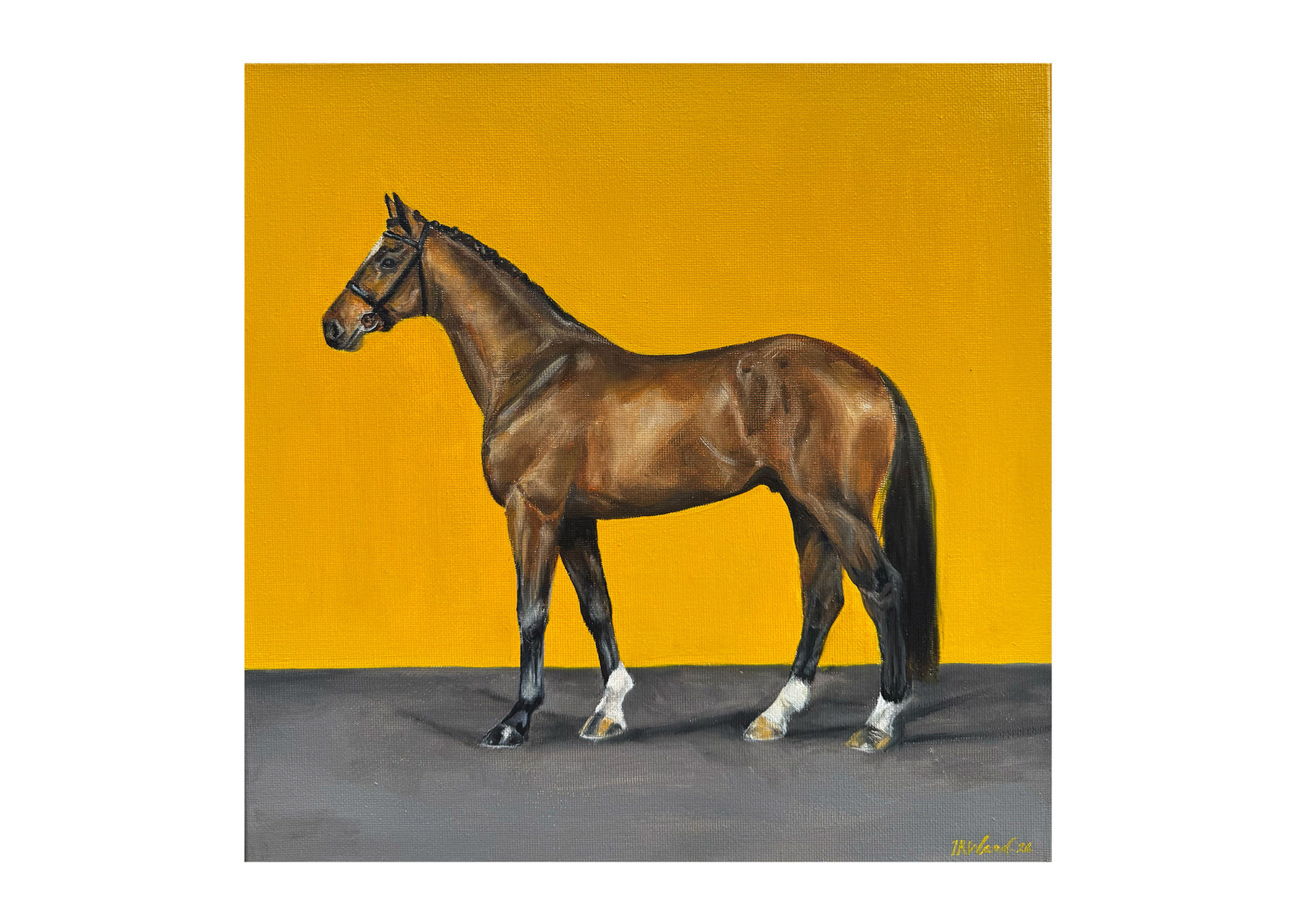 'Light Bay on Yellow'