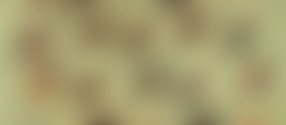 Ebru Sanatı Nedir: Renklerin Su Üzerindeki Dansı