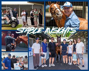 STABLE INSIGHTS – DUST SETTLES AT MAGICS