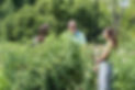 2018.07.29_Providence_Sunday_Garden_Fina