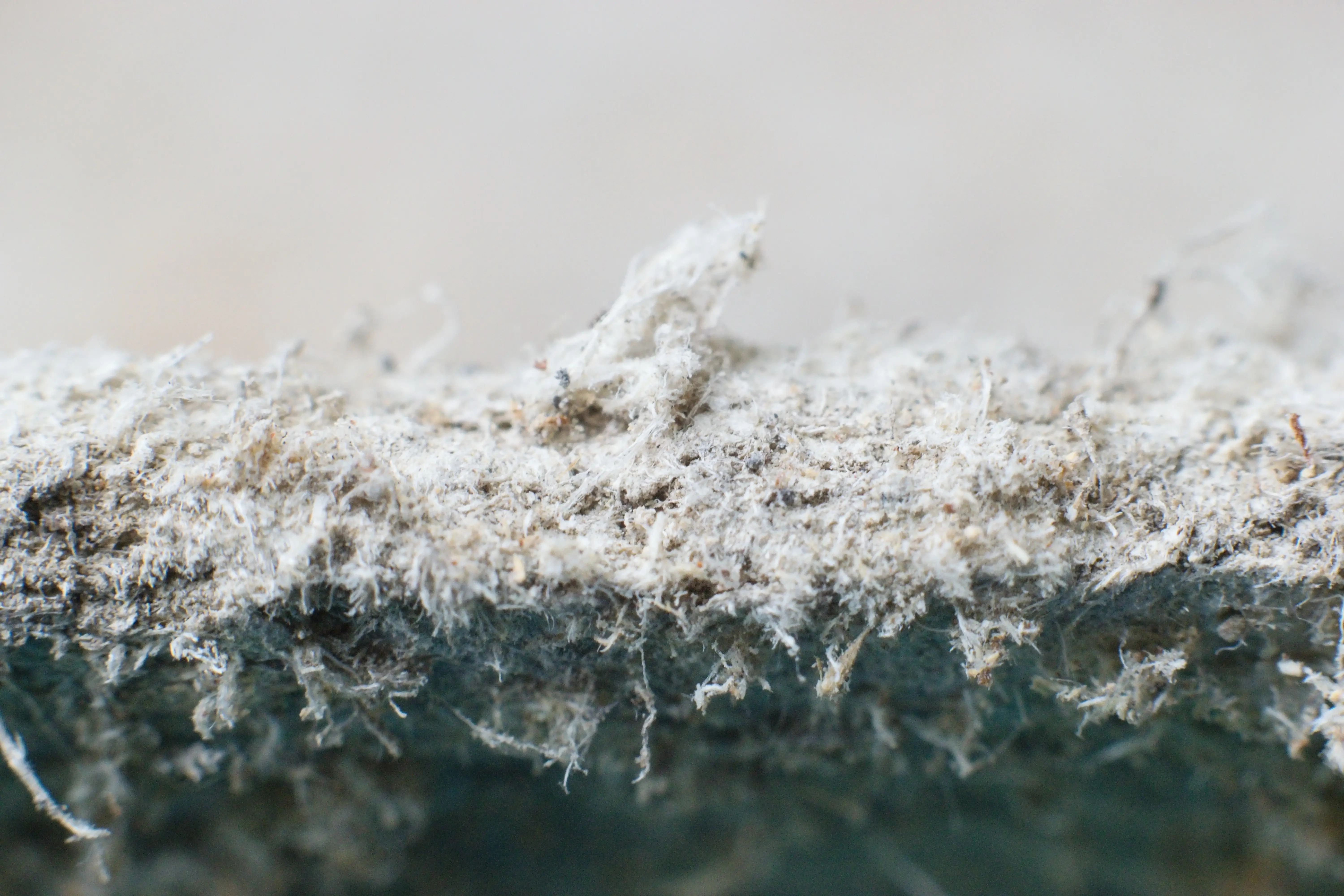 Asbestos Removal Boston.webp