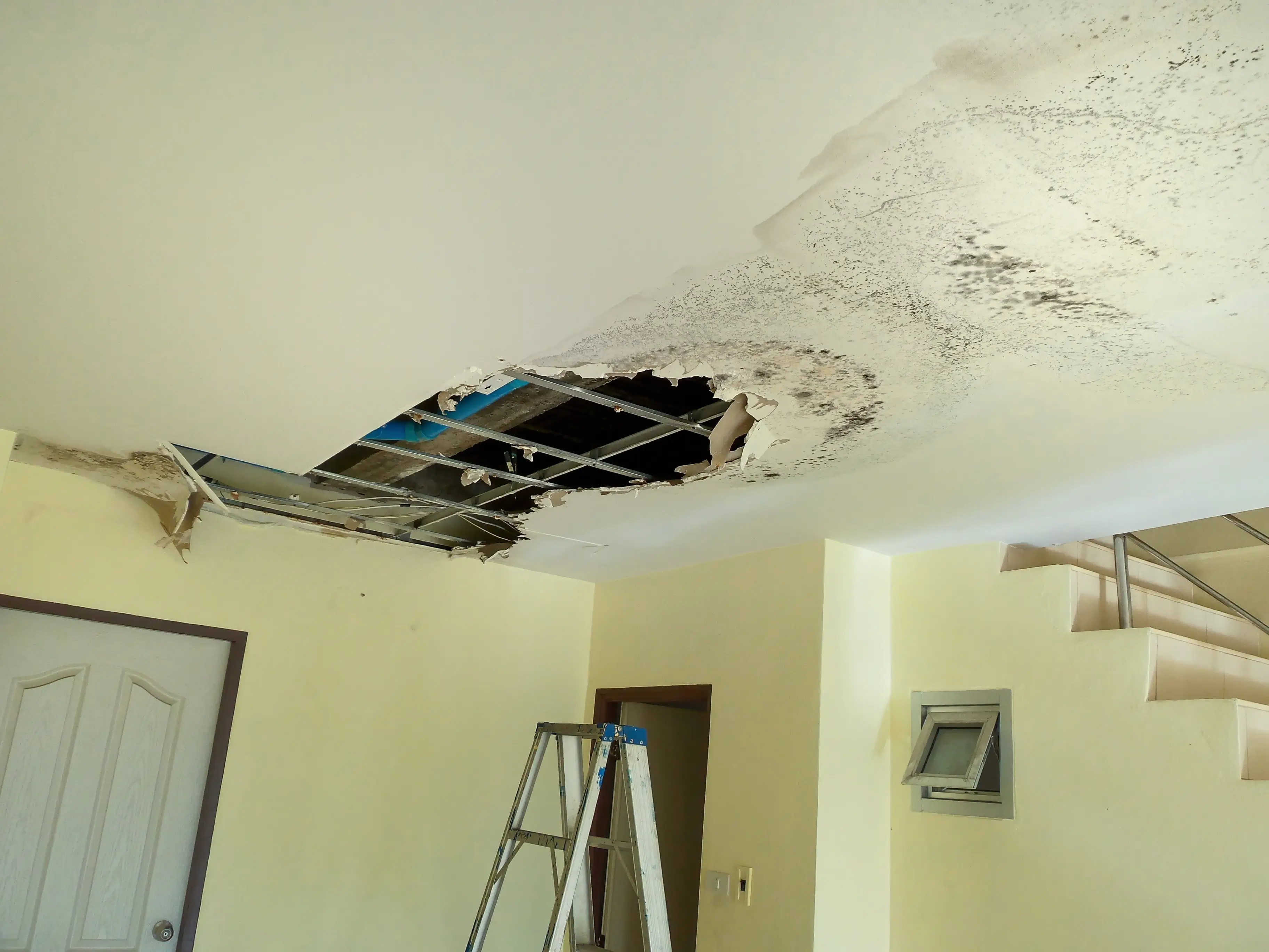Water Damage Restoration Boston.webp