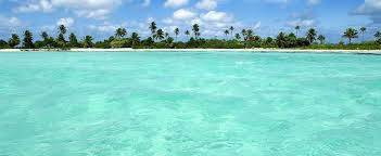 With a long pole we pushed all the way to the reef and roaring surf. The abundance of conch, lobster and small fish called liseta was our basic breadbasket. We ate lots of ceviche with tostadas.