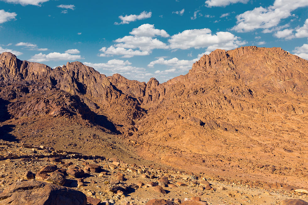 MtSinai purchased photo.jpg